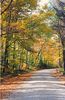 Bigbird > Adirondack Back Roads >  Perkins Clearing rd, oct, 1987