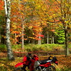Bigbird > Our Town - Saranac Lake, NY >  Moody Pond Rd, Saranac Lake village, oct 8, 2008 CIMG3002