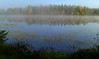 Bigbird > Our Town - Saranac Lake, NY >  Forest Home Rd, Lake Clear outlet, 830am, oct 11, 2008 CIMG3029