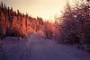 Bigbird > Alaska & The Alaska Highway in Winter >  Rime Frost  -48 F, off Badger Rd, North Pole, Alaska, jan 1972a
