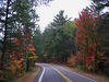 Bigbird > The Adirondacks -Fall, 2007 >  Jones Pond Rd, oct 6, 2007CIMG0599a