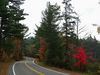 Bigbird > The Adirondacks -Fall, 2007 >  Jones Pond Rd, oct 6, 2007CIMG0606a