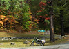 Bigbird > Start of the Forest Home Rd, Saranac Lake end