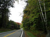 Bigbird > Forest Home Rd - a slight zig before climbing  the first hill