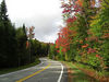 Bigbird > Forest Home Rd - a gentle S-turn