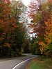 Bigbird > Forest Home Rd, coming to the 1st zig zag