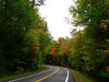 Bigbird > Forest Home Rd - lefthand sweeper, into a right