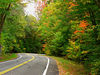 Bigbird > Forest Home Rd - downhill and into a right