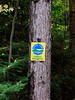 Bigbird > Forest Home Rd - runs thru a section of state forest preserve
