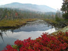 South Creek, about 8 miles west of Saranac Lake, oct 6, 2007
